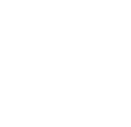 Singer Finanzkonzepte